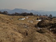 Al Pizzo Grande e al Monte Molinasco da Alino di S. Pellegrino il 16 marzo 2022-FOTOGALLERY